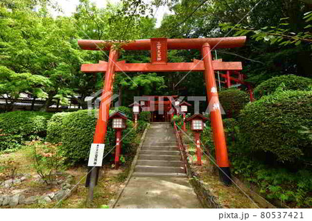 宮地嶽神社より 宮地嶽神社より 80537421