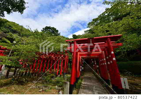 宮地嶽神社より 宮地嶽神社より 80537422
