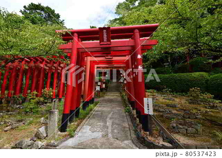 宮地嶽神社より 宮地嶽神社より 80537423
