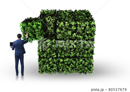 Businessman in green environment concept Businessman in green environment concept 80537679
