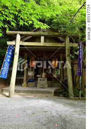 宮地嶽神社より 宮地嶽神社より 80537724