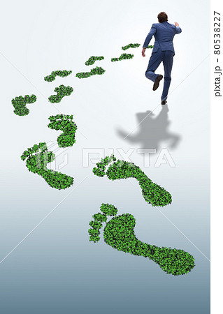 Green ecology concept with businessman 80538227