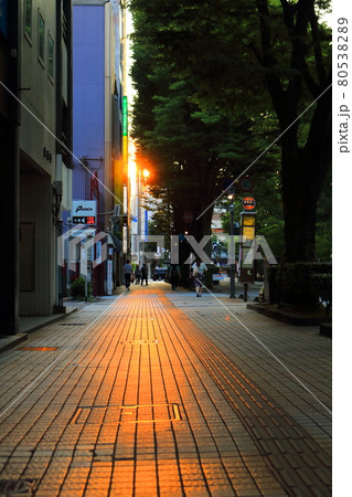 金沢市の街並みの夏の夕暮れ風景 金沢市の街並みの夏の夕暮れ風景 80538289