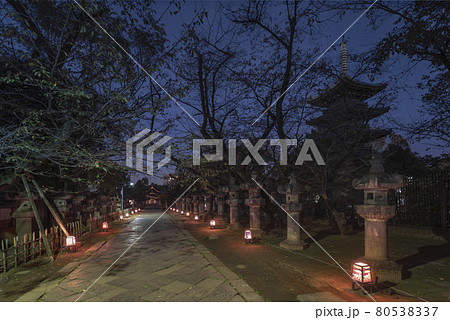 [東京・上野] 石灯篭に照らされる上野東照宮の参道と寛永寺の五重塔の夜景。 80538337