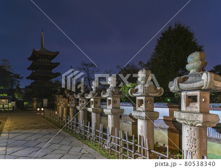 東京・上野] 上野東照宮の参道で並んでる石灯篭と寛永寺の五重塔の夜景。の写真素材 [80538340] - PIXTA