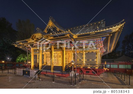 [東京・上野] 上野恩賜公園に輝くライトアップ中の上野東照宮の夜景撮影。 80538343