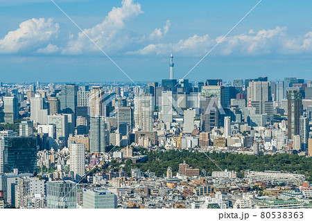 【都市風景】　スカイツリーの見える夏空の大都市東京 80538363