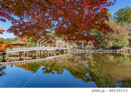 奈良県奈良市奈良公園内　紅葉の美しい鷺池に浮かぶ浮見堂 80539152