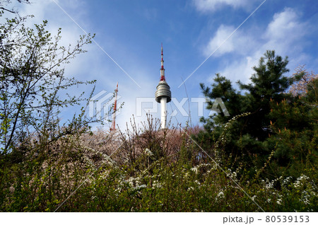 韓国ソウル｜Nソウルタワー初夏 80539153