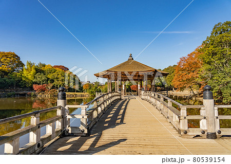 奈良県奈良市奈良公園内 紅葉の美しい鷺池に浮かぶ浮見堂 奈良県奈良市奈良公園内 紅葉の美しい鷺池に浮かぶ浮見堂 80539154