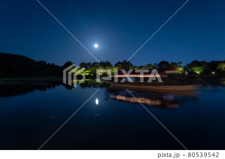 京都府京都市　大覚寺の観月の夕べで大沢池に浮かぶ龍頭鷁首舟の遊覧船 80539542