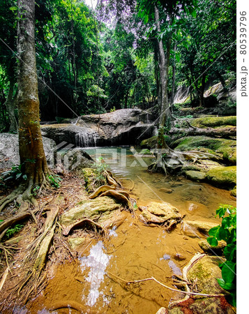 Pha Tad Waterfall in Kanchanaburi, Thailand 80539796