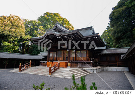 井草八幡宮拝殿 井草八幡宮拝殿 80539837