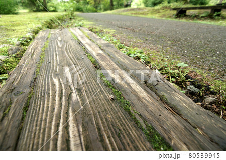 四季の散歩　夏　たじま高原植物園 80539945