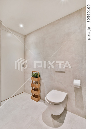 Interior of small clean washroom in miniature style 80540100