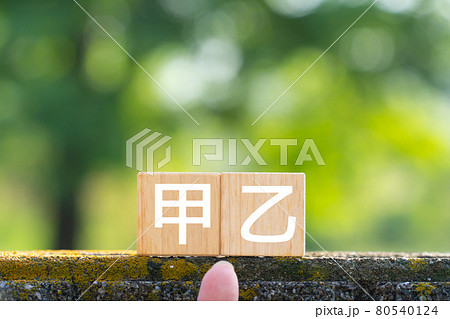 イメージ　甲乙 80540124