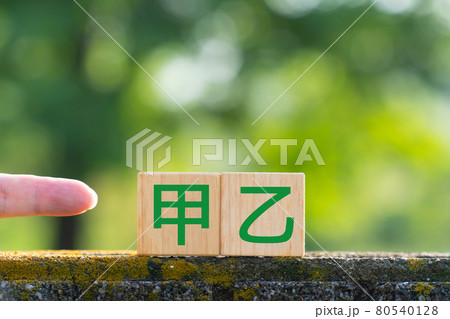 イメージ 甲乙 イメージ 甲乙 80540128