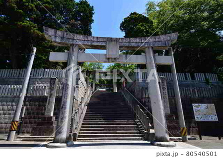 宮地嶽神社より 宮地嶽神社より 80540501
