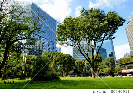 新宿新都心 新宿中央公園からの超高層ビル群の風景 新宿新都心 新宿中央公園からの超高層ビル群の風景 80540911