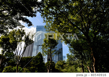 新宿新都心 新宿中央公園からの超高層ビル群の風景 新宿新都心 新宿中央公園からの超高層ビル群の風景 80540916