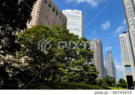 新宿新都心 新宿中央公園からの超高層ビル群の風景 新宿新都心 新宿中央公園からの超高層ビル群の風景 80540919