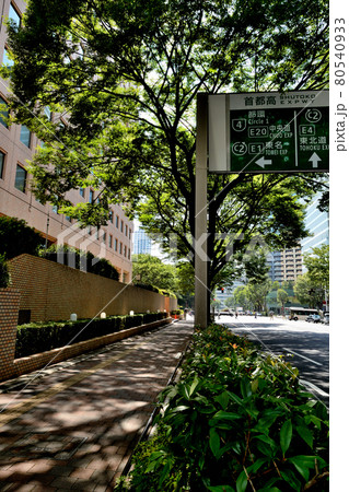 新宿新都心　新宿中央公園からの超高層ビル群の風景 80540933
