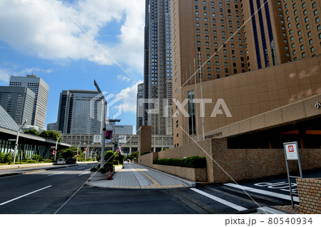 新宿新都心　新宿中央公園からの超高層ビル群の風景 80540934