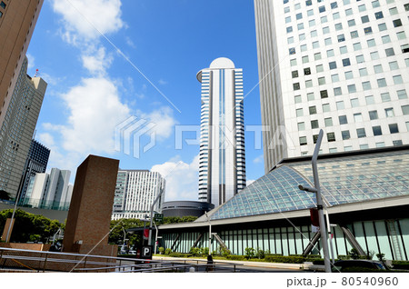 新宿新都心 新宿中央公園からの超高層ビル群の風景 新宿新都心 新宿中央公園からの超高層ビル群の風景 80540960