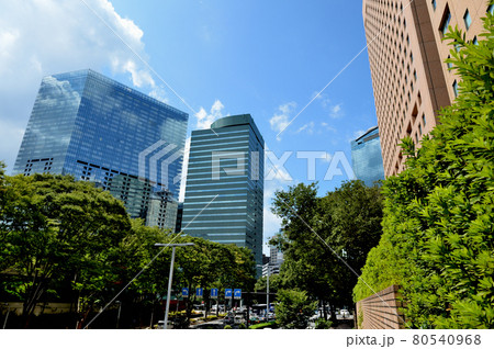 新宿新都心　新宿中央公園からの超高層ビル群の風景 80540968