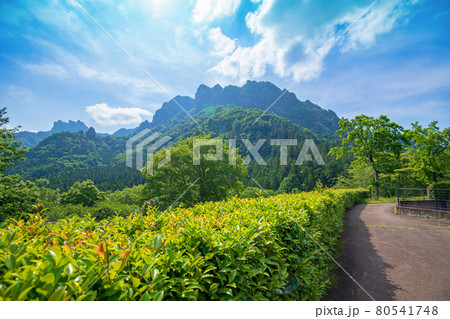 妙義山　妙義ふるさと美術館付近からの景色　　　　　　 80541748