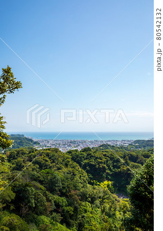 天園ハイキングコースから見た鎌倉の街と海と山 80542132