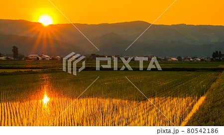 初夏の田園風景（夕暮れ） 80542186