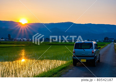 初夏の田園風景(夕暮れ) 初夏の田園風景(夕暮れ) 80542187