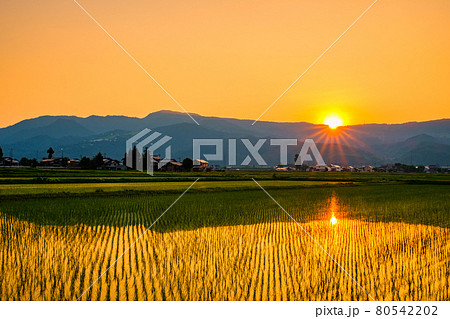 初夏の田園風景(夕暮れ) 初夏の田園風景(夕暮れ) 80542202