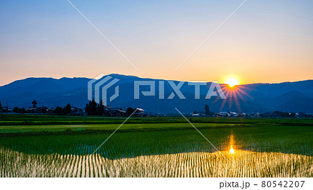 初夏の田園風景（夕暮れ） 80542207