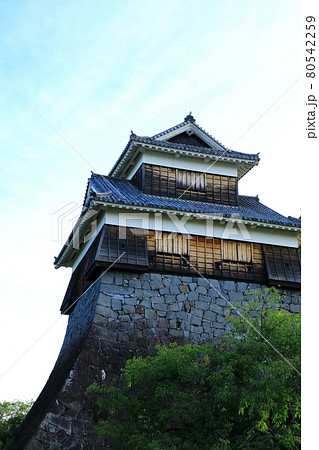 熊本城　未申櫓 80542259