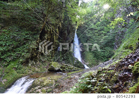 岩井谷の大龍頭 80542293