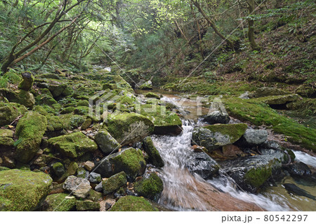 岩井谷の大龍頭 80542297