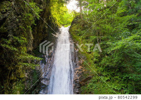 岩井谷の大龍頭 80542299