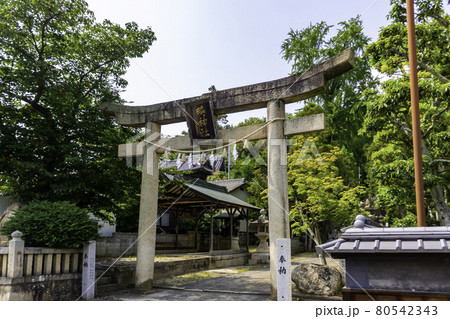 鴨神社　鳥居　岡山県浅口市 80542343