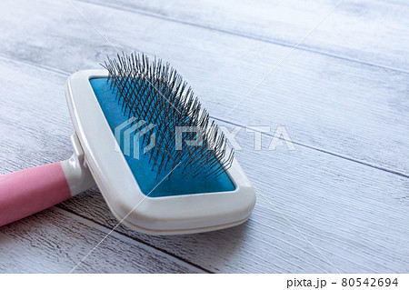 ペット用のブラシのアップ ペット用のブラシのアップ 80542694