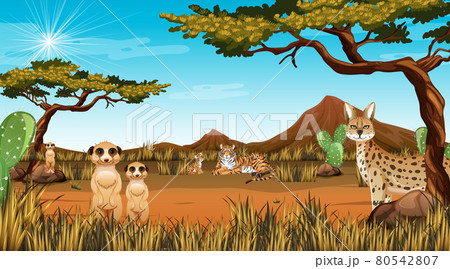 Desert forest landscape at daytime scene with willd animals Desert forest landscape at daytime scene with willd animals 80542807