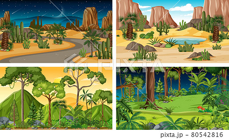 Four different nature horizontal scenes 80542816