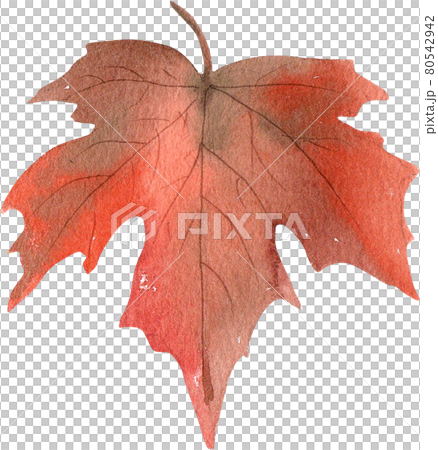 Autumn camping decor watercolor Autumn camping decor watercolor 80542942