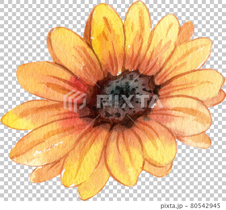 Autumn camping decor watercolor Autumn camping decor watercolor 80542945
