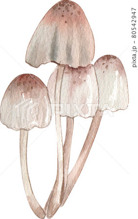 Autumn camping decor watercolor Autumn camping decor watercolor 80542947