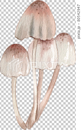 Autumn camping decor watercolor Autumn camping decor watercolor 80542947
