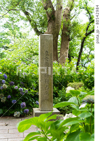 【静岡県】　下田公園 80542984