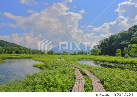 尾瀬ヶ原の湿原と池塘_木道の先に燧ケ岳 80543053