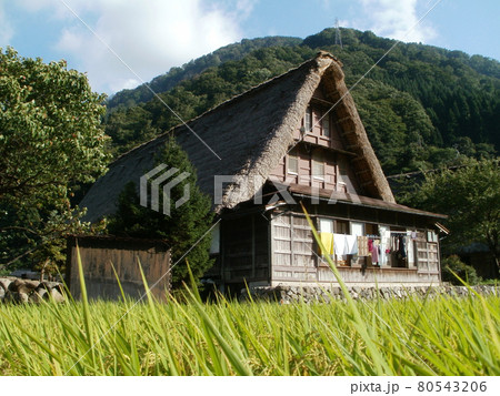 五箇山　合掌造りの民家　富山県南砺市 80543206